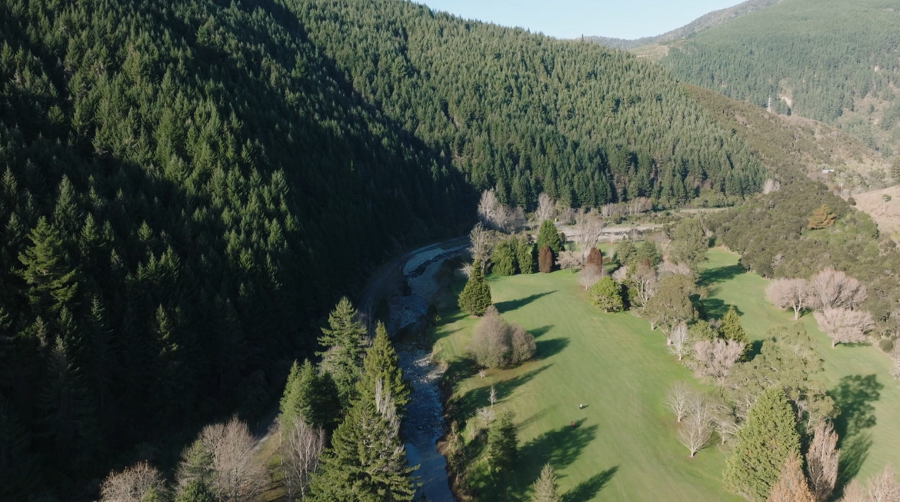 Screenshot_MaiTai rv bypass-video-Mar24_900x502